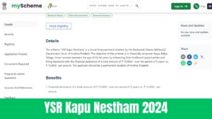 YSR Kapu Nestham 2024