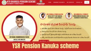 YSR Pension Kanuka scheme 2024